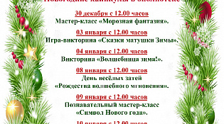 Централизованная библиотечная система приглашает провести новогодние каникулы вместе